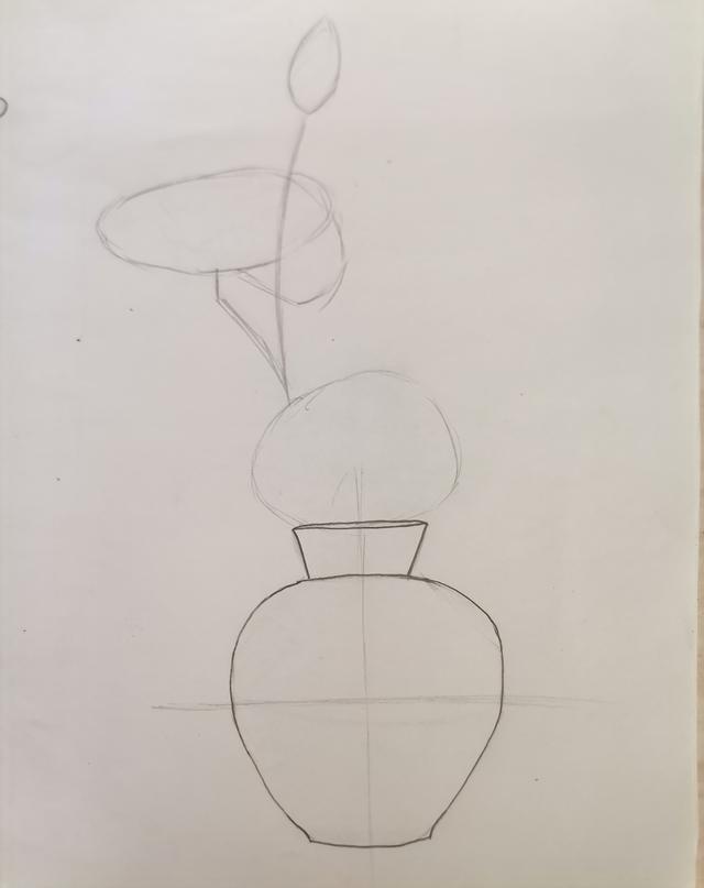 速写入门基础画花卉，7步通俗易懂的速写画画入门教程