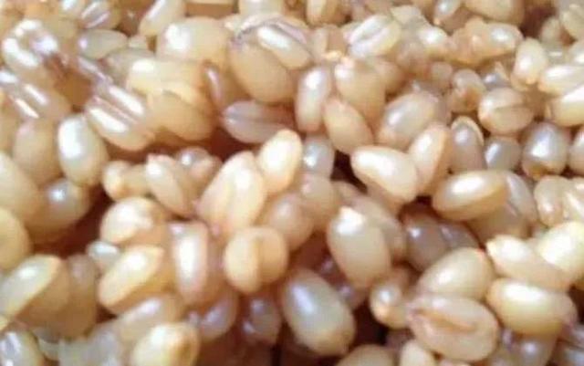 钓鱼基础饵料有哪几种，了解三种常用饵料的优劣势、适用鱼情