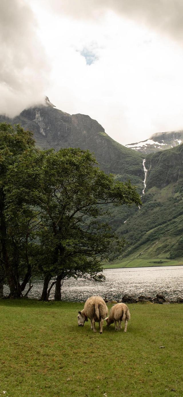 十大高清苹果手机壁纸，iPhone高清壁纸精选好看的手机壁纸