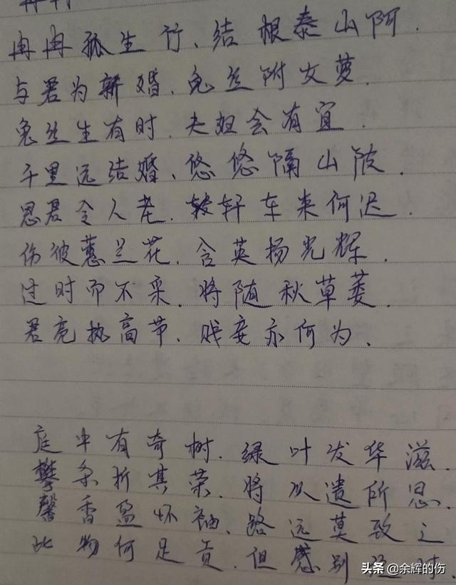 一个馒头引发的血案，一个馒头引发的血案讽刺什么（这瓜，信息量太大！）