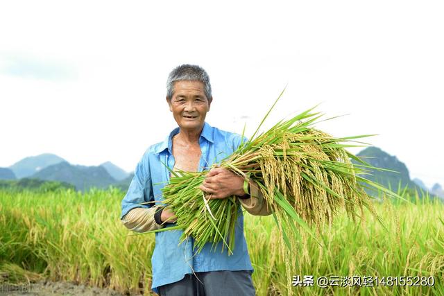 农村老人养老问题，农村老人养老问题及解决方法（老农：我们交了一辈子公粮）
