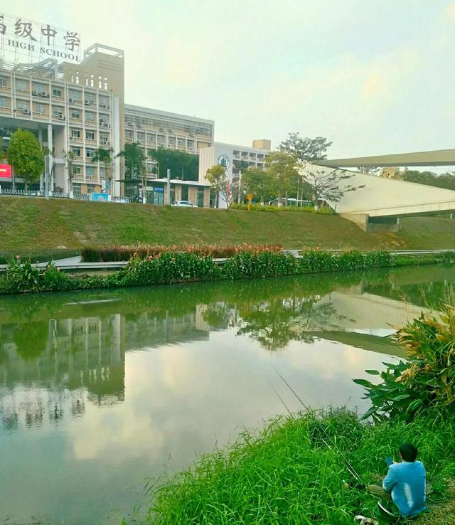 深圳免费钓鱼地方推荐，深圳这3个地方免费钓鱼