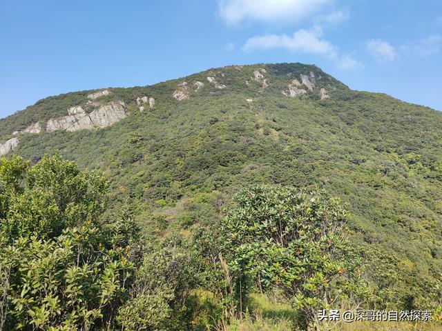 深圳不起眼的山峰，深圳这十座不知名山峰