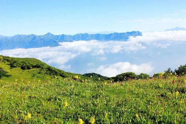 四川8月避暑旅游最佳去处，四川有一个清凉世界走红