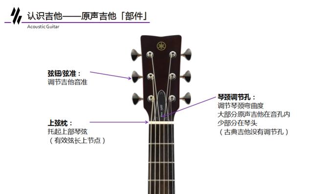 吉他初学者教程，吉他入门十大基础教程（吉他新手应该如何合理的练习吉他）
