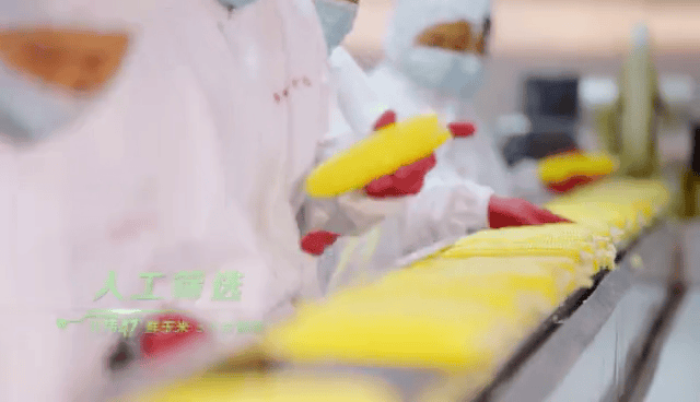 北纬47度是哪，原来你是这样的北纬47
