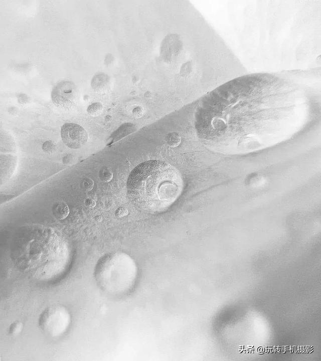 绿色星球有哪些，豆瓣评分9.8的绿色星球