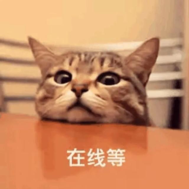 包大人来了第二季，萌探探探案第二季张一山叫宋丹丹