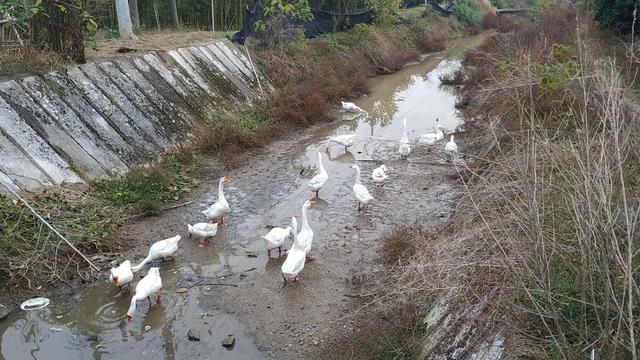 杭州爬山徒步最佳路线轨迹，杭州人的后花园