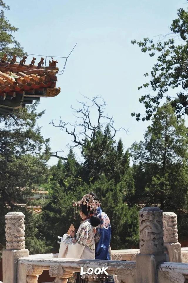 北京周末好去处市区，周末打卡好去处-白塔寺