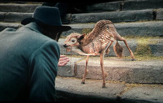 有哪些神奇的动物，15种你需要了解的神奇动物（10种不寻常的神奇动物很难想象它们独特的模样）