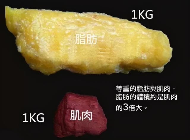 肥胖瓶颈(肥胖问题的原因及解决办法)