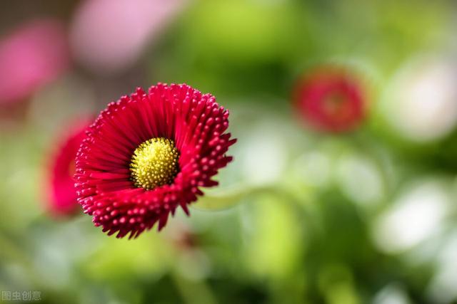 适合深夜读书的时间，一天中四个学习的黄金时间