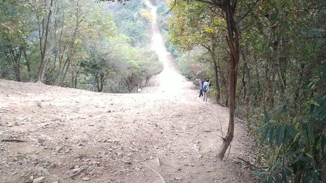 杭州爬山徒步最佳路线轨迹，杭州人的后花园