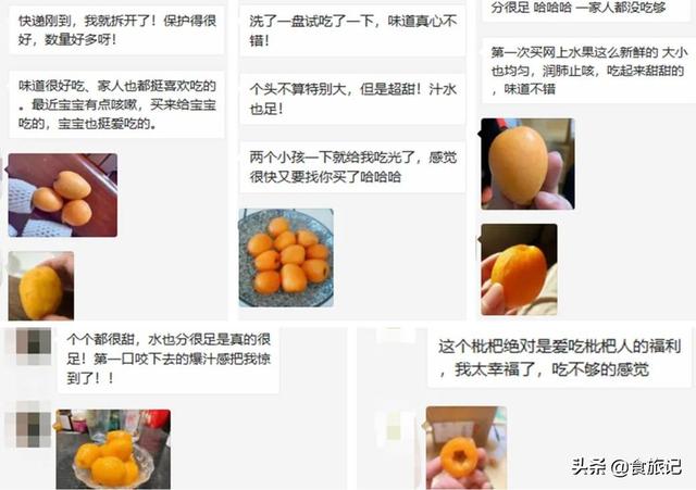 同样是大五星枇杷，四川米易枇杷几月成熟