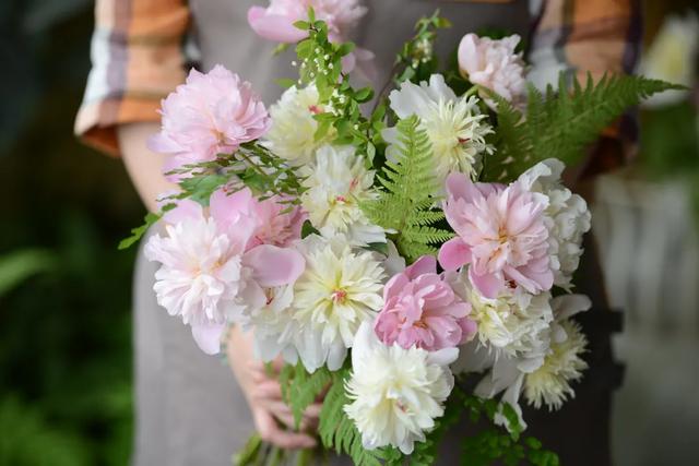 法式花园如何欣赏，海妈花园访问阳台花园满分案例