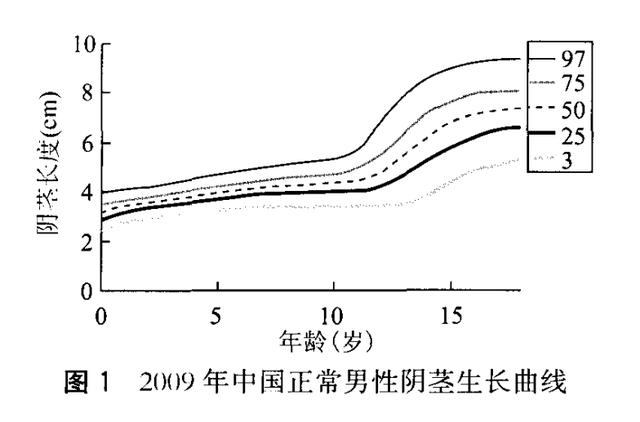肥胖型假性隐匿阴茎(隐形性肥胖)