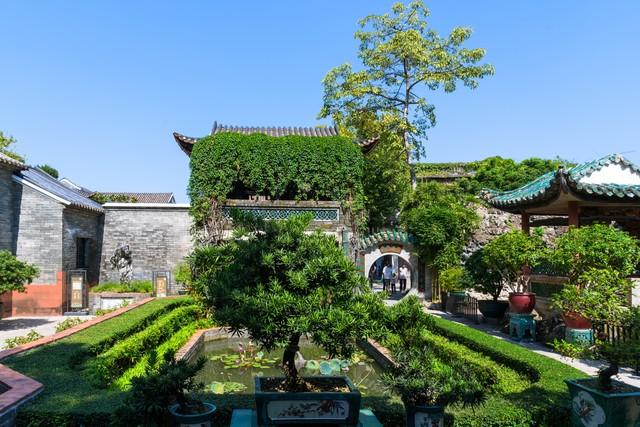 2米高罗汉松价格多少，2米高罗汉松价目表