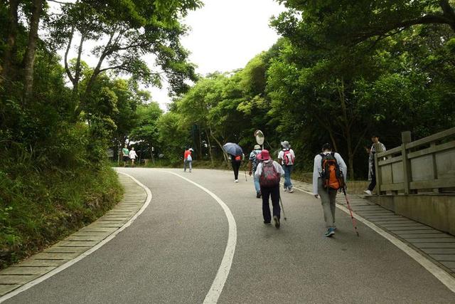 关于深圳梧桐山简介，深圳之巅——梧桐山