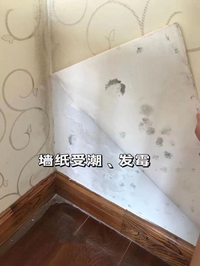 挑选墙布颜色要注意什么，选墙布记住这8不选