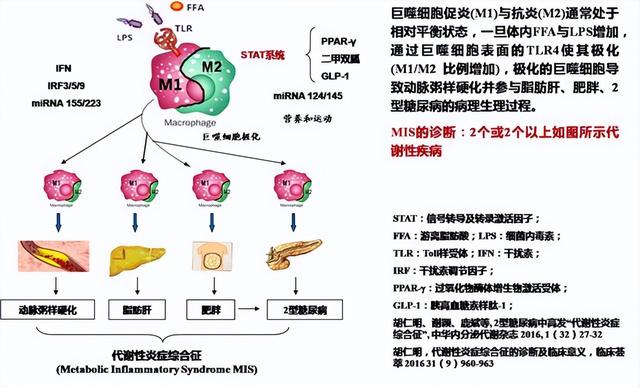 新加坡糖尿病胰岛素(新加坡胰岛素价格)