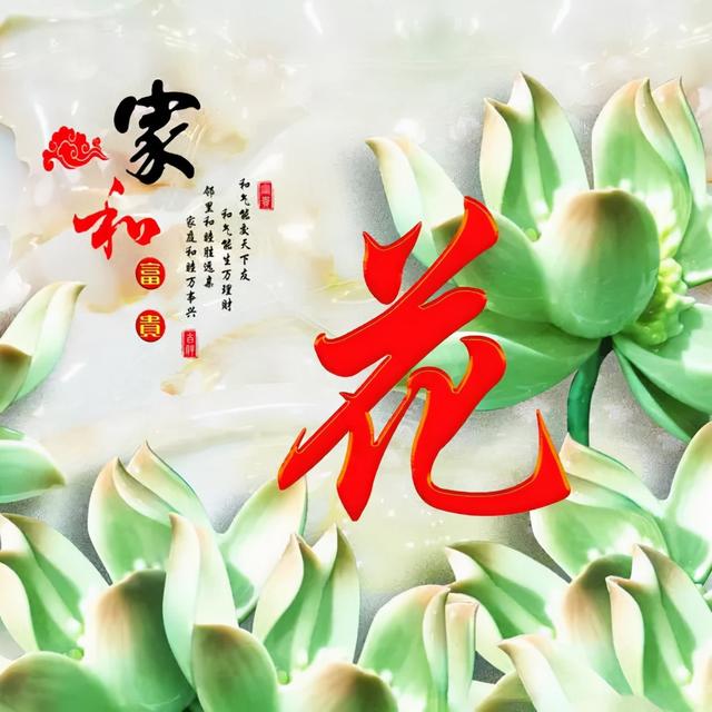 荷花头像图片大全，荷花头像高清图