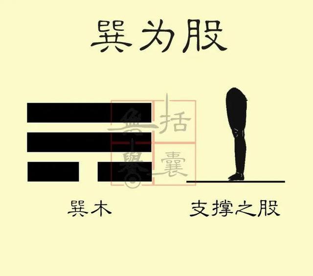 八卦巽上乾下，八卦与人体乾首