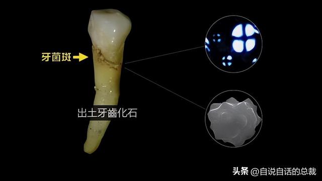 走近科学复活节岛巨人石像之谜，美国科学家有了新解释