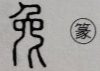 兔字的演变过程图，兔字的来源及演变过程（为什么汉字“兔”这样写）