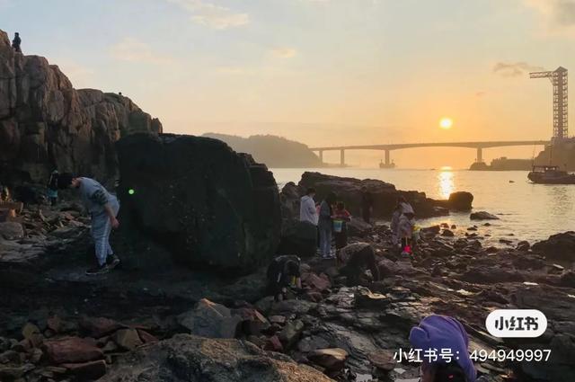 洞头冬天还能不能赶海，天气这么好去洞头赶海啊