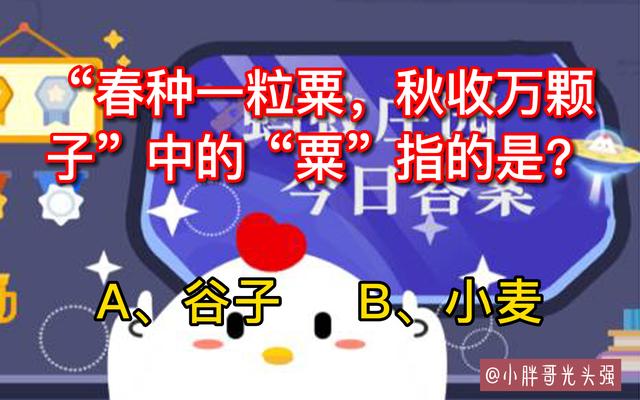 春种一粒粟的粟是指，春种一粒粟的粟指的是什么（秋收万颗子”中的“粟”指的是什么）