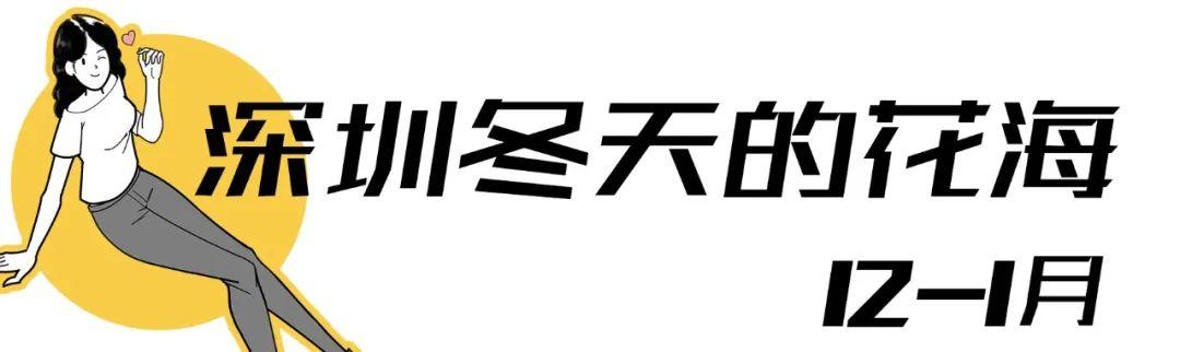 附近看花的地方，深圳最适合去赏花的地方（2023西安及周边赏樱花的地点大全）