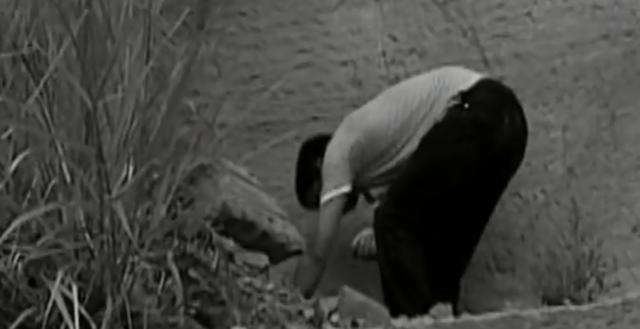 蛇洞，自然密码蛇洞之谜