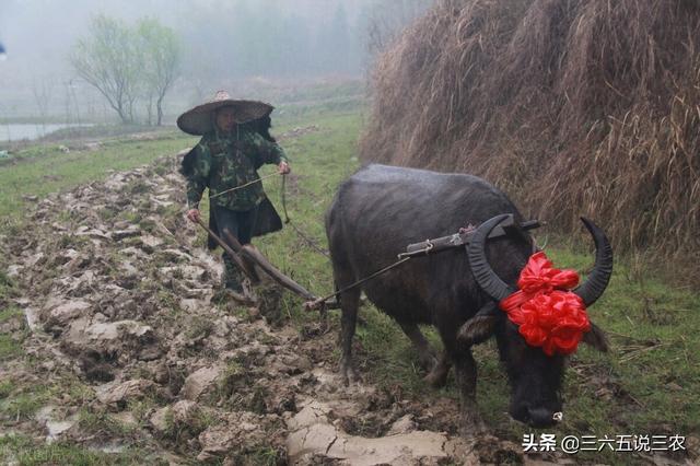 今天是二九第一天吗，今日八九第一天