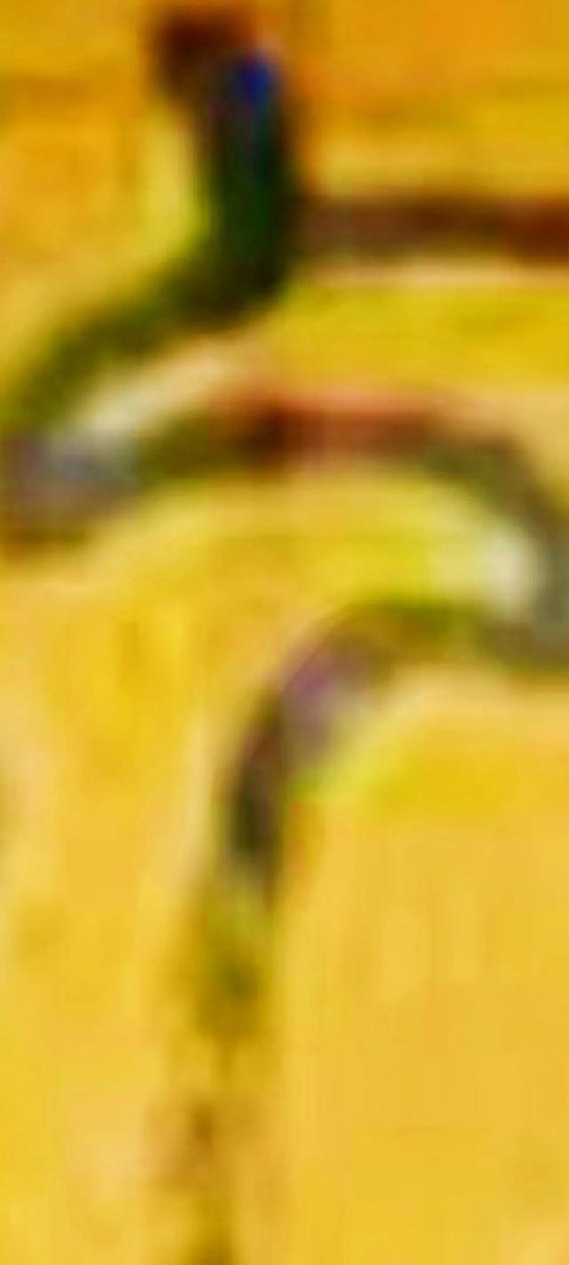 清明上河图真迹，清明上河图有几个真迹（清明上河图的真迹原来这么美）