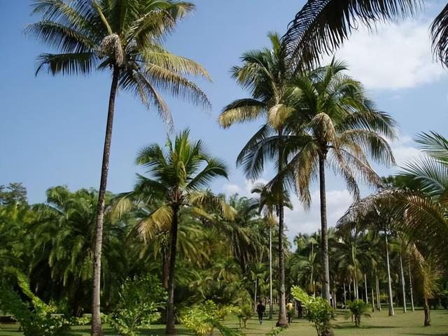 西沙群岛实际控制，西沙群岛 实际控制（在中国南海实际控制的岛屿有多少个）