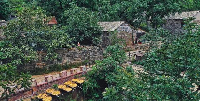 当秋分遇上农民丰收节，去山东的美丽乡村看秋