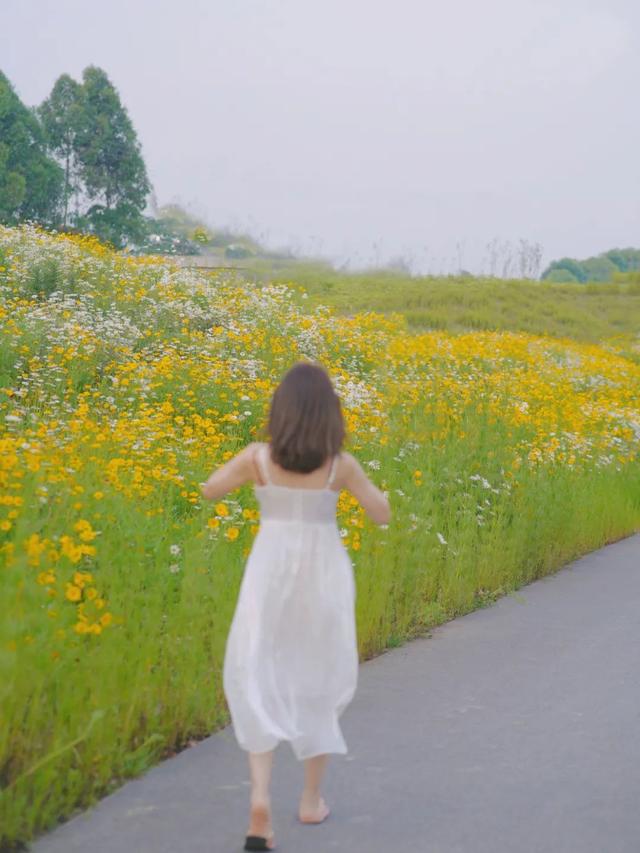 9月成都周边最适合露营，不出成都市区打卡9大露营野餐拍照地