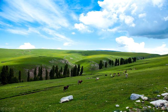 真正喜欢一个人是什么样子的表现，真正喜欢一个人
