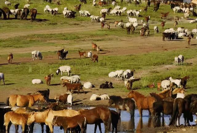 内蒙古行政区划图，蒙古故土鄂尔多斯（内蒙古自治区最新行政区划）