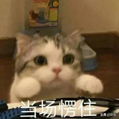 山东人的性格特点，山东人什么性格最好（山东人的特点）