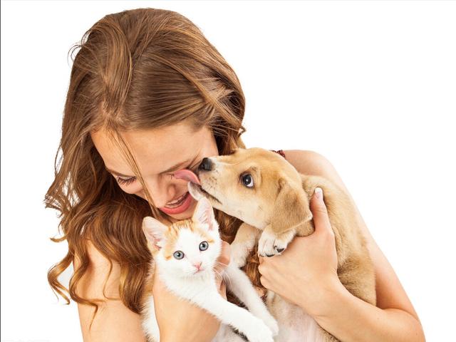 为什么狗狗喜欢舔脚还不让碰脚，狗狗啃你“手跟脚”的原因