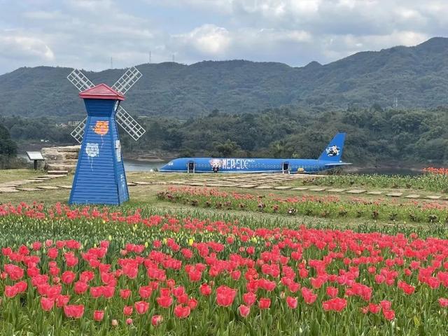 泸州最适合旅游的地方，泸州春游去哪里