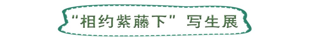 南山旅游攻略必去景点，南山旅游景区花开正好时