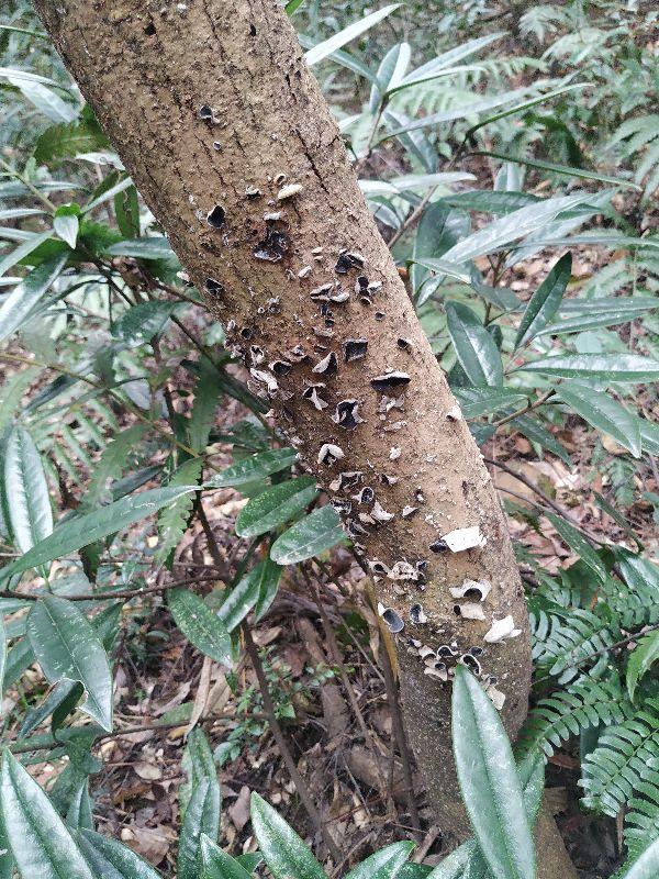 杭州爬山徒步最佳路线轨迹，杭州人的后花园