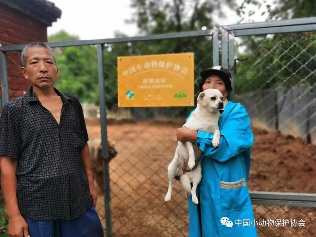 流浪动物救助站，流浪动物救助站统计（爱心人士反映四川江油流浪动物救助站动物生存环境恶劣）