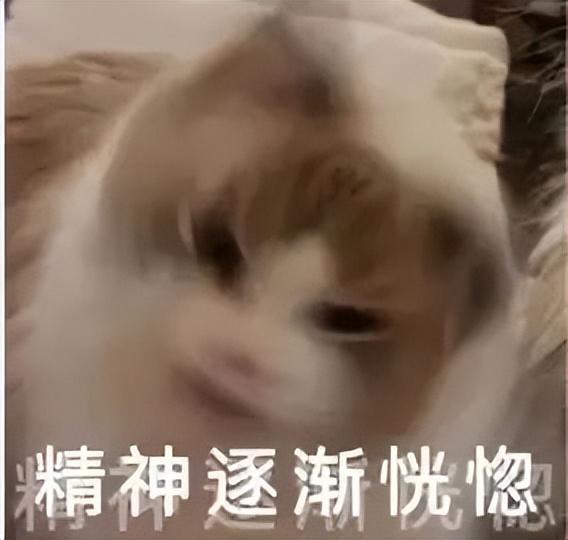 特别困的表情包抖音，表情，为什么你每天这么困