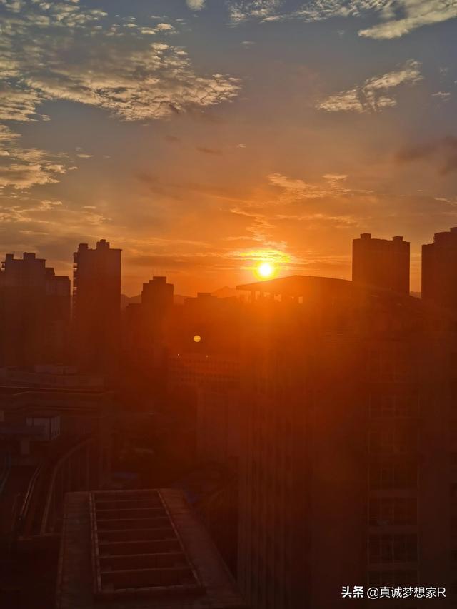 他好像一条狗感悟，周星驰《大话西游》这句话为何这么触动人心