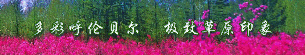 呼伦贝尔大草原图片，内蒙古呼伦贝尔草原最美景色（壁纸美图，呼伦贝尔大草原风光）