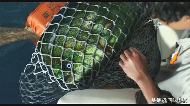 简短航海日志，这份人生航海宝典你一定要收下